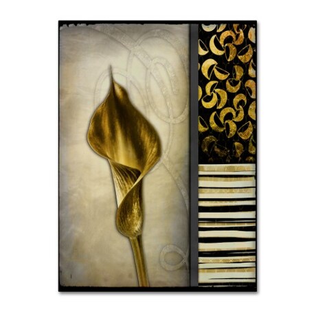 Trademark Fine Art LightBoxJournal 'Gold Lily 2' Canvas Art, 35x47 ALI10487-C3547GG
